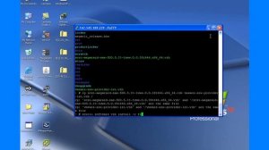 VMWare 5.x, upgrade MegaRAID driver and load LSI CIM provider under ESXi Server.wmv