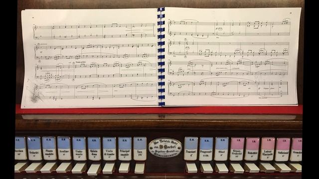 Feliks Nowowiejski - Marche Solennelle | Święta Lipka | wyk. P. Balukiewicz смотреть онлайн