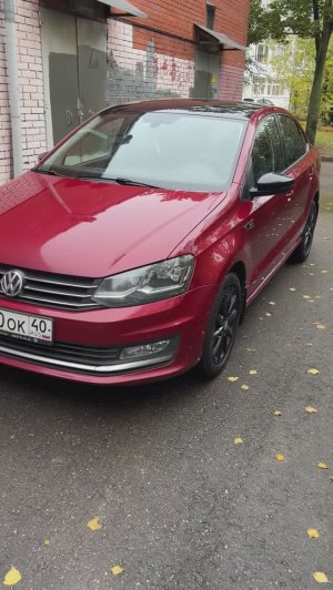 Polo 2018
