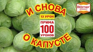 #ПРИМА100уроков - 13 - И снова о капусте! 4 толщины и плододержатель. Börner овощерезка ПРИМА