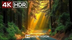 4K Video ULTRA HD - Best of 4K HDR Dolby Vision