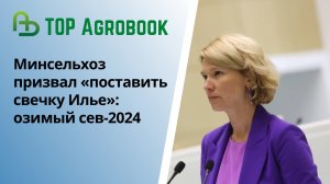 Минсельхоз призвал «поставить свечку Илье»: озимый сев-2024 | TOP Agrobook: обзор аграрных новостей