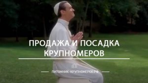 Питомник хвойных и лиственных растений.