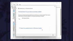 How to Update Keyboard Drivers on Windows 11 PC