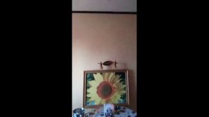 Болгария. Обогрев квартиры. 6 лет