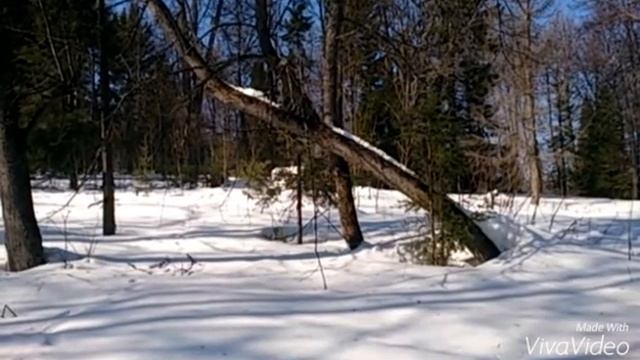 Миньяр красивая утро снято 09.03.16 смотреть онлайн