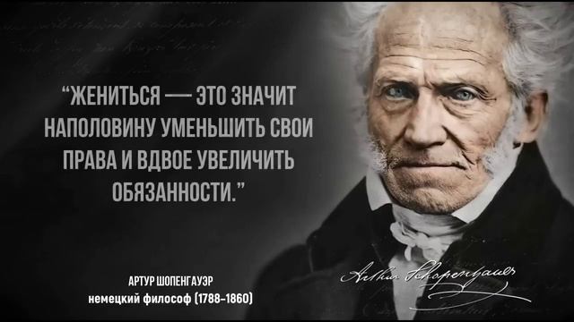 Уроки жизни от Шопегаузера смотреть онлайн