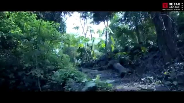 WhatsApp Video 2018 06 16 at 08 46 21 смотреть онлайн