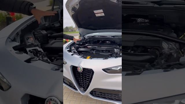 Five Reasons Why You Should Buy this $60k Alfa Romeo Stelvio!