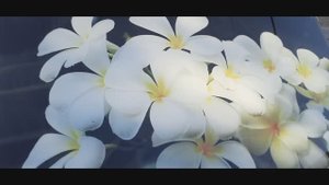 Памятник из стекла/памятник с витражом/Memorialvip