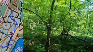 Спринт на Яльчике. Леша не смог донести камеру до финиша, Айдар ему помог (Headcam orienteering №62)