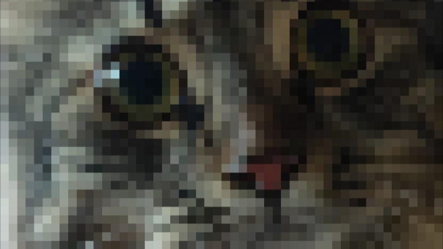 Кошка вылизывается во сне !!! смотреть онлайн