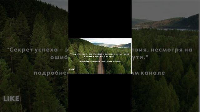 Бизнес в телеграмм канале!