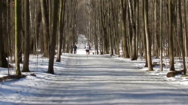 Весенний Дуатлон-2015 Беговой этап