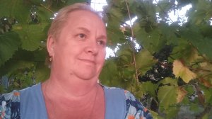 60. ПРИВЕТ ИЗ КРЫМА. ВЫХОДНОЙ СРЕДИ НЕДЕЛИ.
