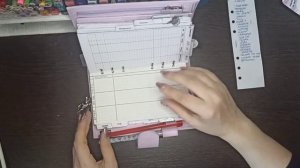 знакомство . обзор планера moterm ☺☺☺