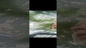 ПРЯТКИ 5И5!!!