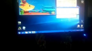 Baby Shark Has BSOD In Windows 7 SP1