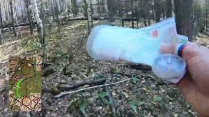 Бег по лесу, Ориентирование, г. Казань, озеро Лебяжье