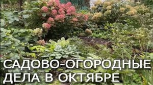 Садово-огородные дела в октябре