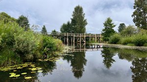 Сплав от Луха до Талиц на сапборде. Часть первая: "В поисках Худынского"