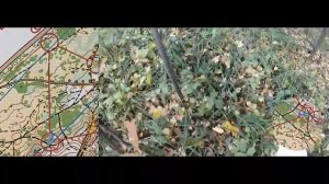 Ориентирование от первого лица (Headcam orienteering №5), карта Дербышки. Чемпионат г. Казань