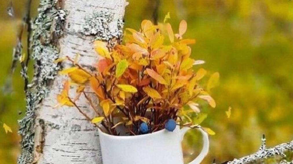 Доброе утро - пожелание доброго утра☕