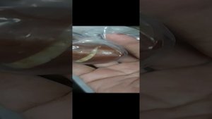 Пришла наша закупка луковичных.Тюльпаны,нарциссы