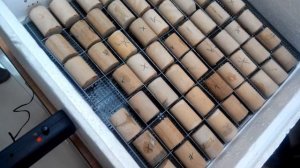 Электропривод ЭП-4