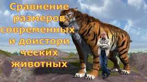 Сравнение размеров современных и доисторических животных