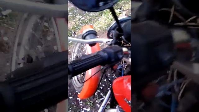 28 мая 2020 г. (3).mp4 смотреть онлайн