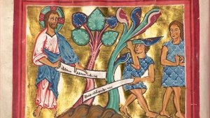 Раю мой раю (исполняет Андрей Байкалец)