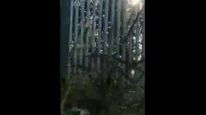 Польские пограничники стреляли в беженцев