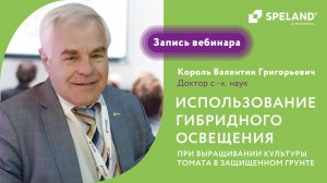 Использование гибридного освещения при выращивании культуры томата в защищенном грунте