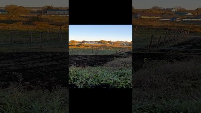 Осенние работы на участке