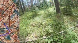 ПФО в Ижевске 2 место в эстафете, 3 этап (Headcam orienteering №36)