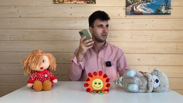 Как научить игрушки разговаривать своим голосом. Записать сказки, свои фразы в игрушки