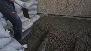 Сталинская квартира. часть первая