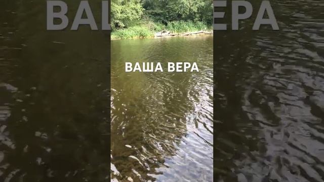 Сила веры. Живи Красота! Понятно? Слава Богу за всё!..☀️