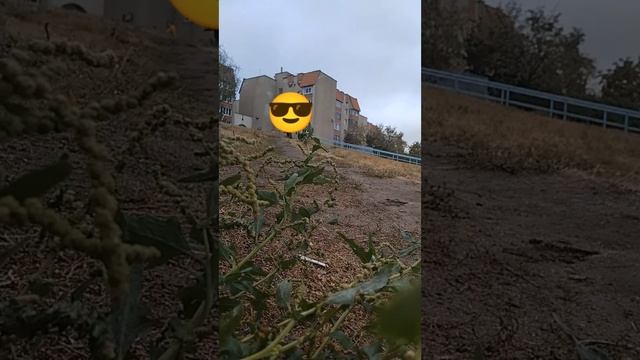 1000004768.mp4