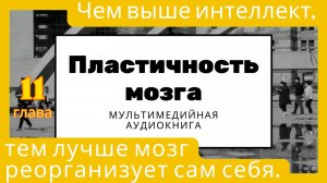 Пластичность мозга. Чем выше интеллект, тем лучше мозг реорганизует сам себя.