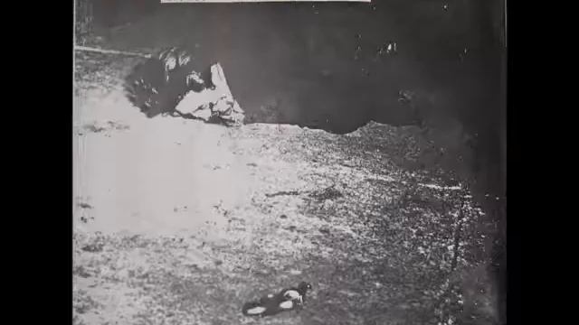 Antisocial Live And Let Live смотреть онлайн