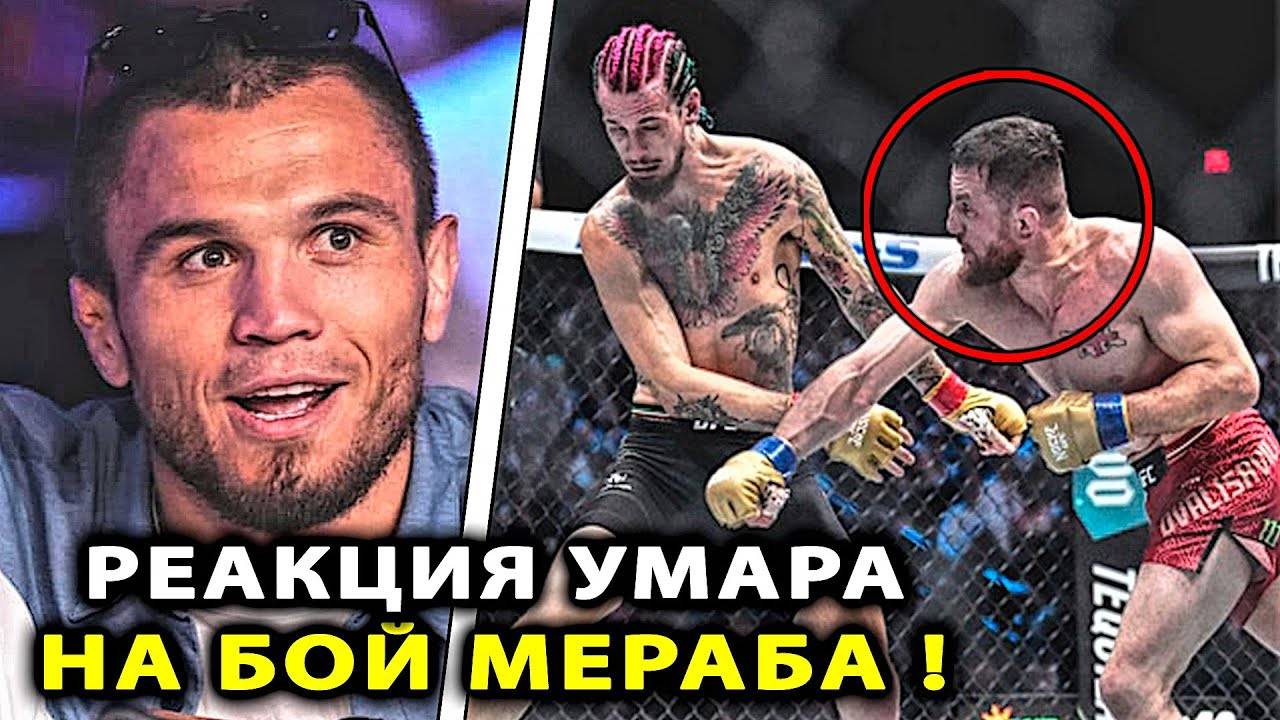 РЕАКЦИЯ Умара на БОЙ Шон ОМэлли - Мераб Двалишвили! Умар Нурмагомедов Хабиб / Ислам Махачев Шевченко