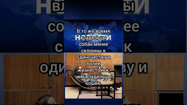 Владельцы собак менее склонны к последствиям стресса