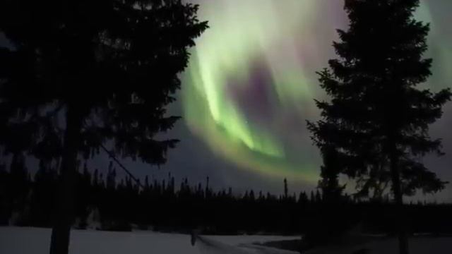 STEVE REICH: VARIATIONS FOR WINDS, STRINGS, KEYBOARDS смотреть онлайн