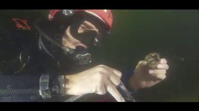 Transmisión en directo de Francisco Gonzalez смотреть онлайн