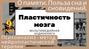 Пластичность мозга. О памяти. Польза сна и сновидений. Психоанализ -метод нейропластической терапии