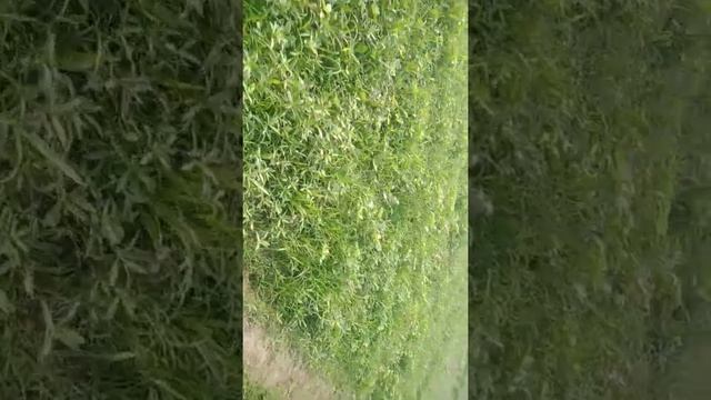 May 16, 2022 смотреть онлайн