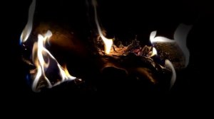 Слушай Псалмы перед сном под потрескивание костра Псалмы с 17 по 24