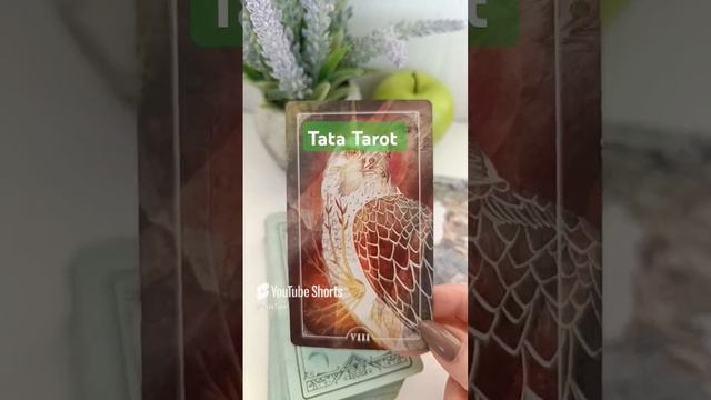 Что Он будет делать дальше? 🥰 #таро #tarot #магия #таролог #обряды #гадание #тароонлайн